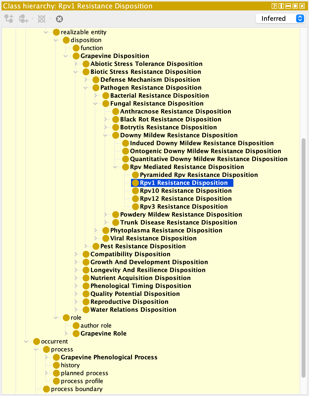 ./doc/p_Rpv1_positionInClassStruct.png: position in the class struct